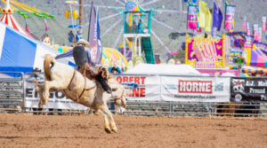 Apache Junction Rodeo Center