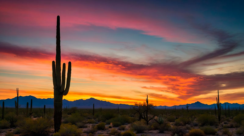 Arizona sunset
