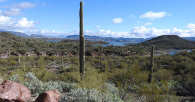 Arizona Lake Pleasant