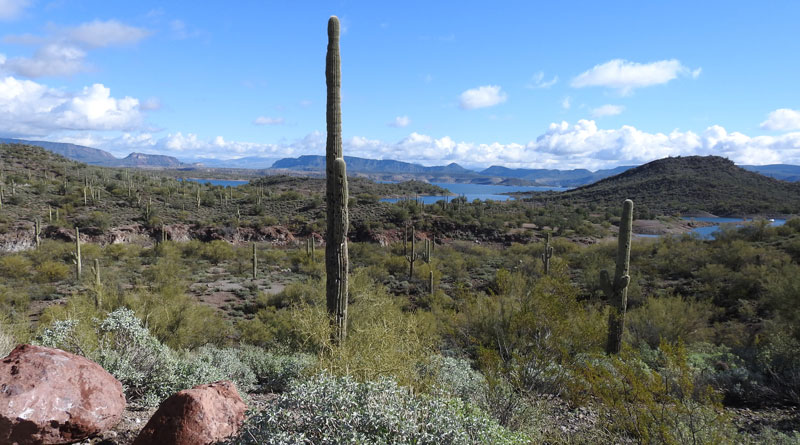 Arizona Lake Pleasant