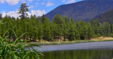 Lake in White Mountains Arizona