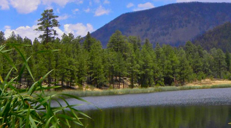 Take a Road Trip Across the White Mountains