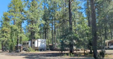 Hon-Dah RV Park in the White Mountains