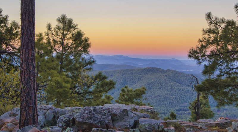 Road Trip Across the White Mountains