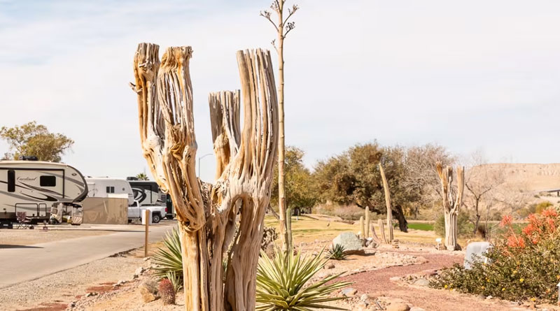 Cocopah RV Resort