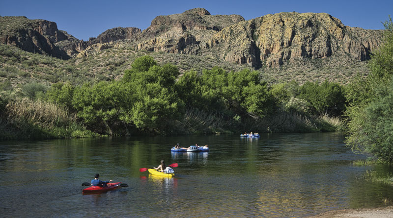 Salt River, Arizona