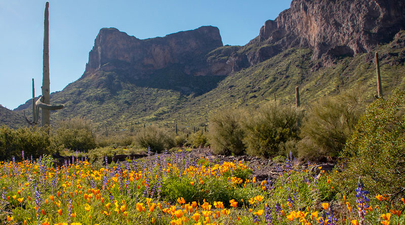 Picacho Peak in Pinal County