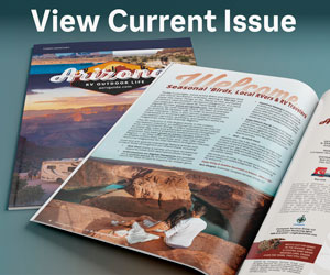 View Current Issue