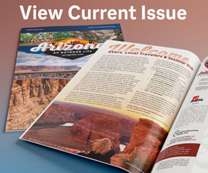 View Current Issue